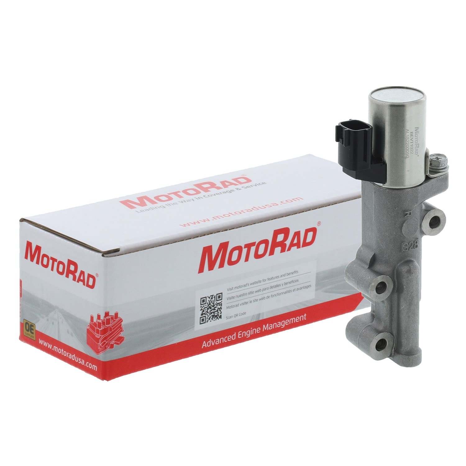 Motorad Engine Variable Valve Timing (VVT) Solenoid 1VS122