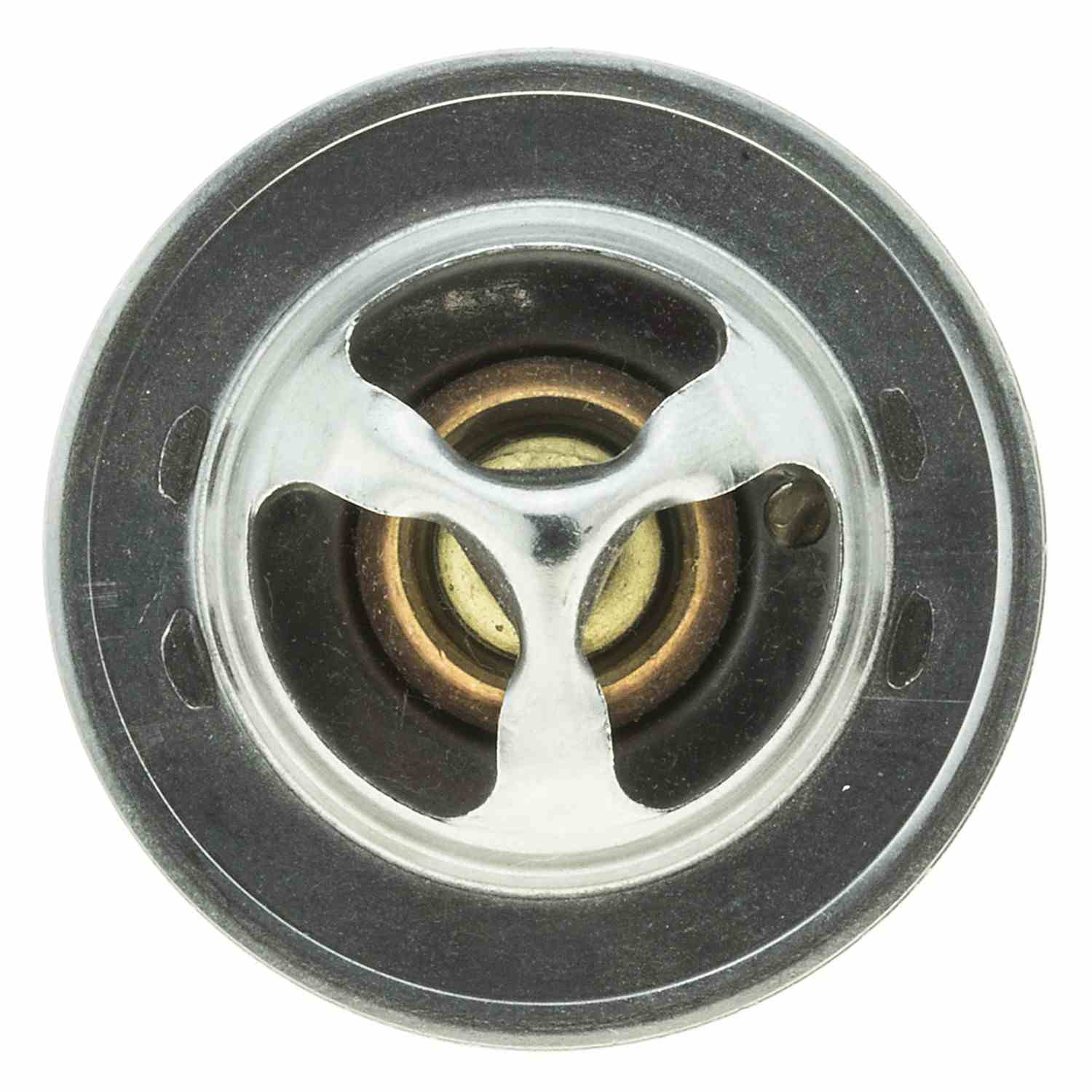 Motorad Engine Coolant Thermostat 2029-195