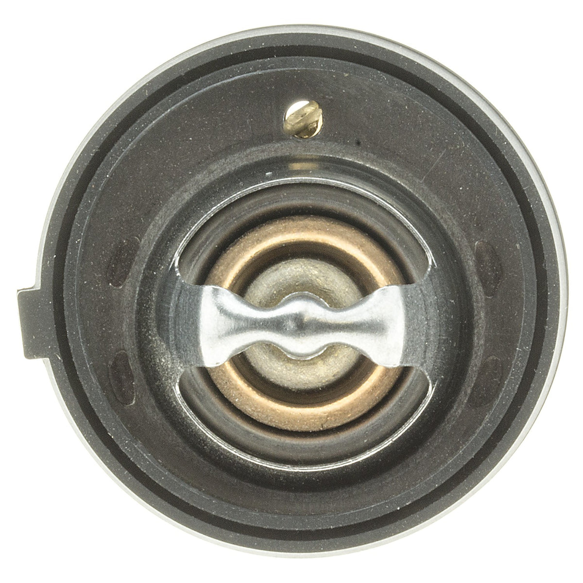 Motorad Engine Coolant Thermostat 425-195