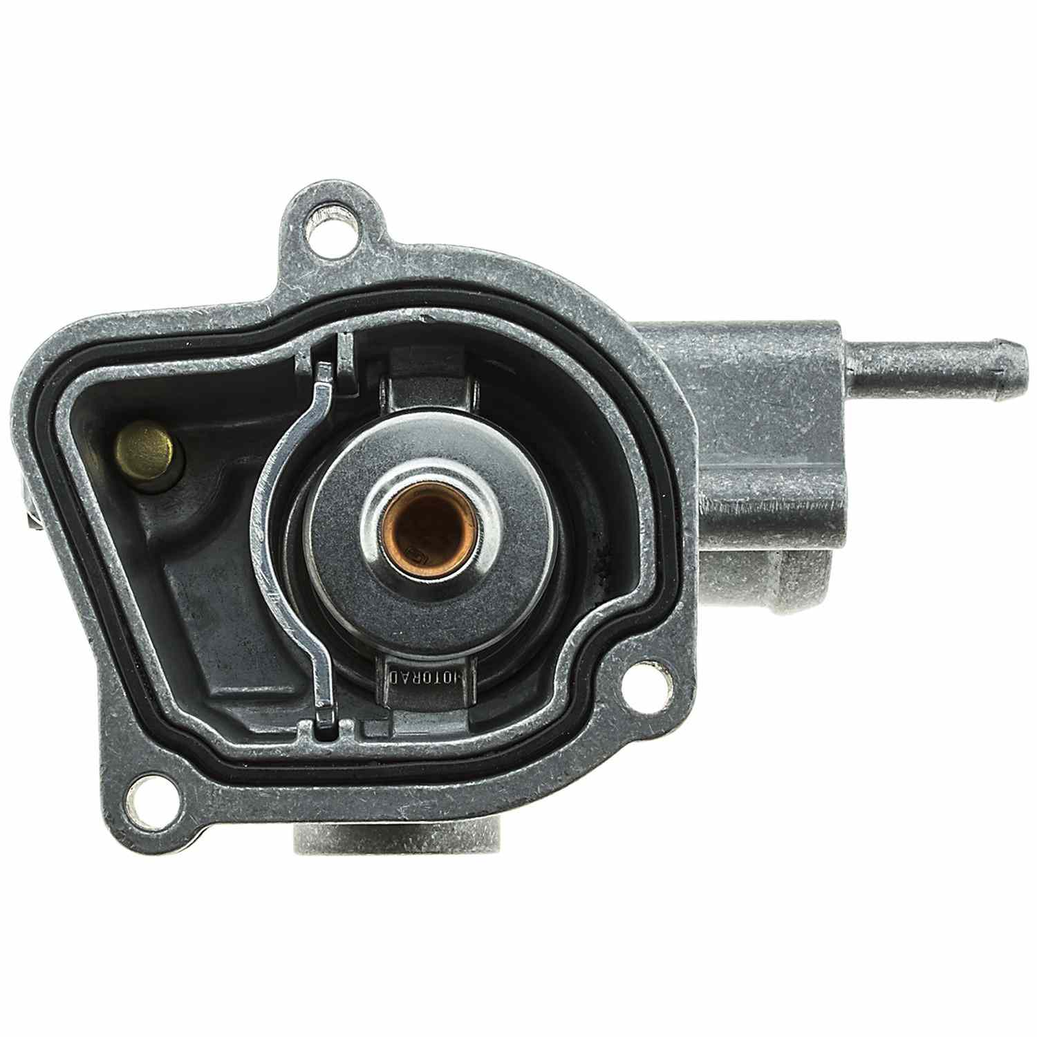 Motorad Engine Coolant Thermostat