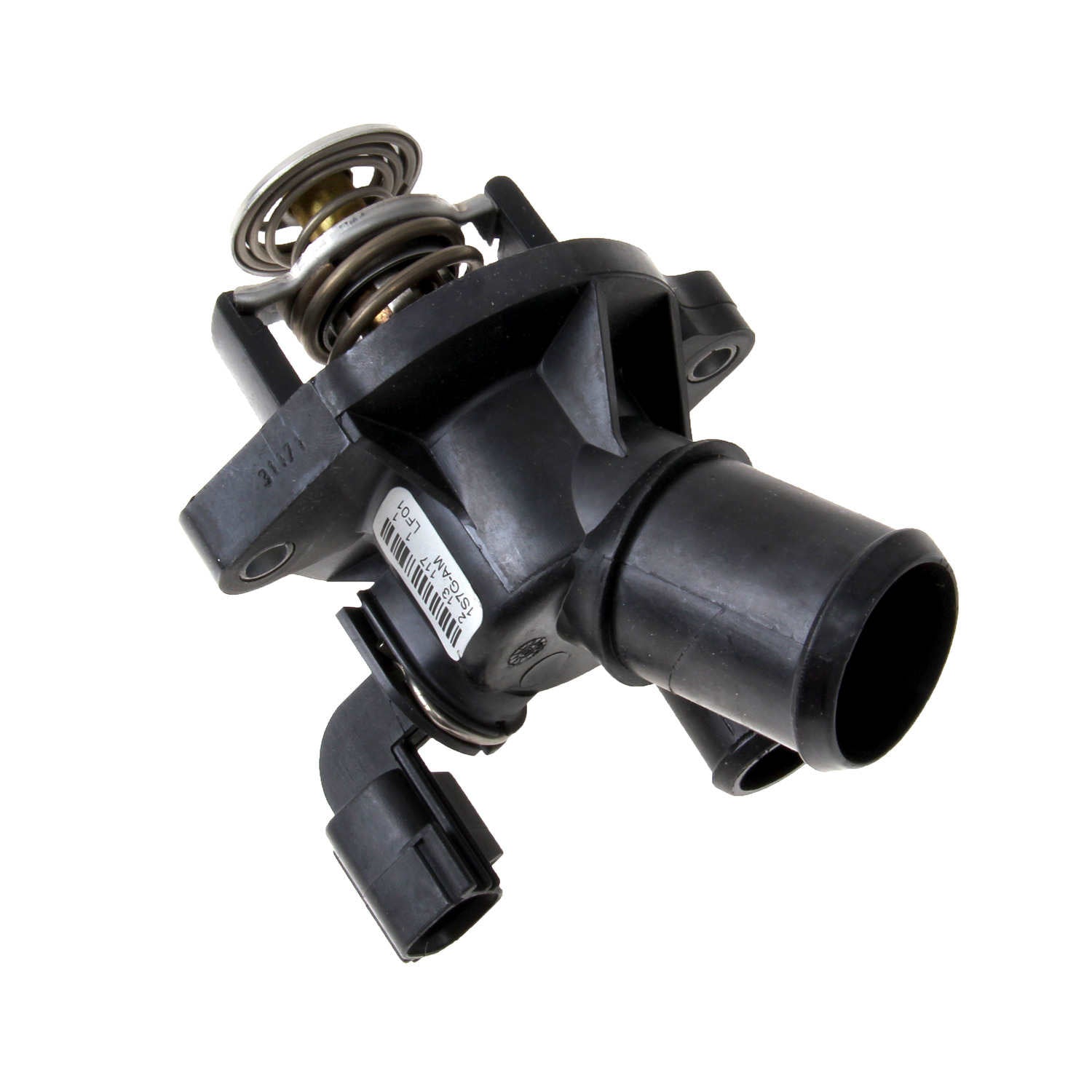 Motorad Engine Coolant Thermostat