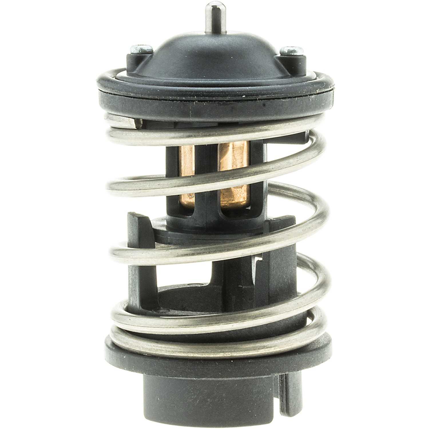 Motorad Engine Coolant Thermostat