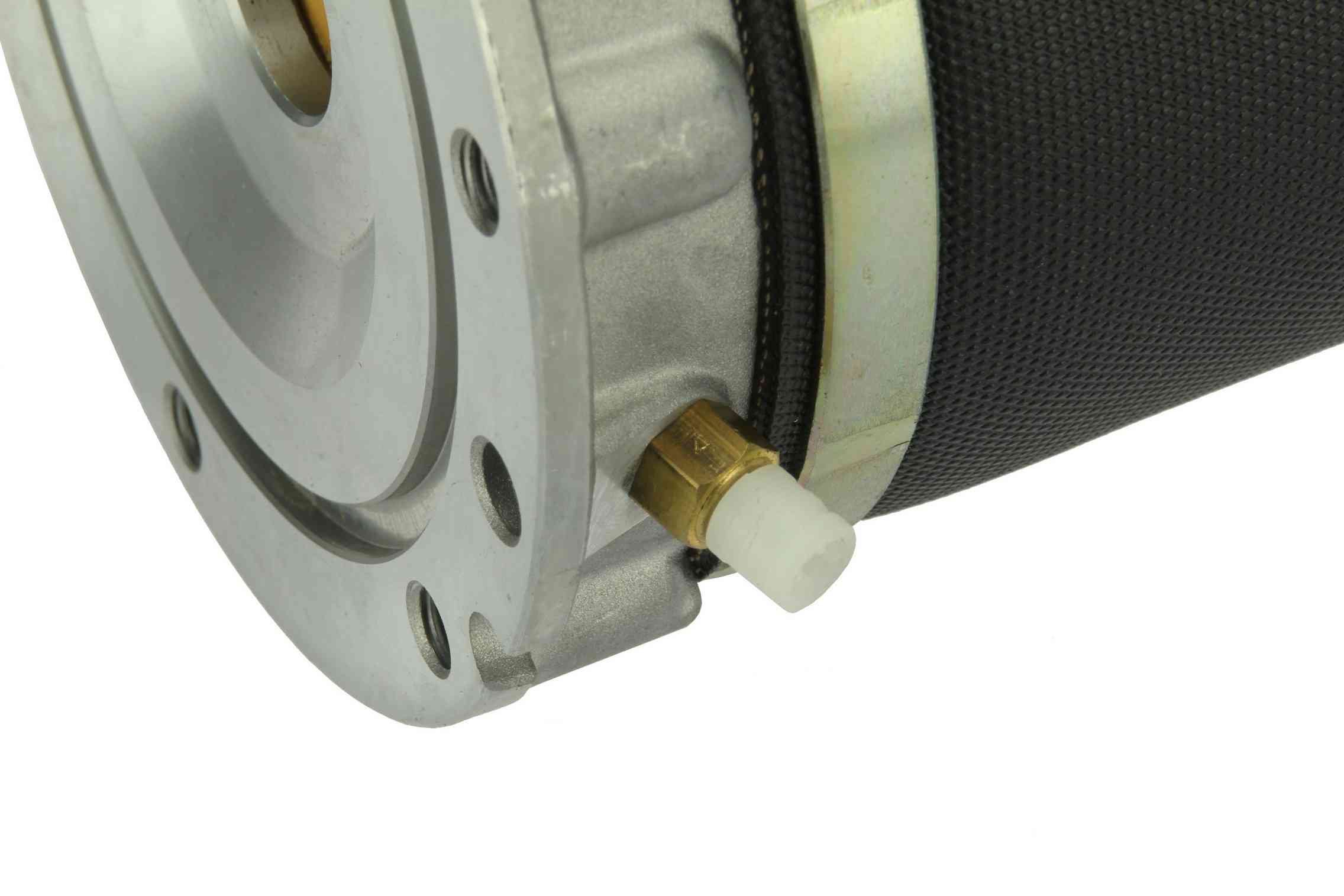 Autotecnica Suspension Strut Assembly AU099516