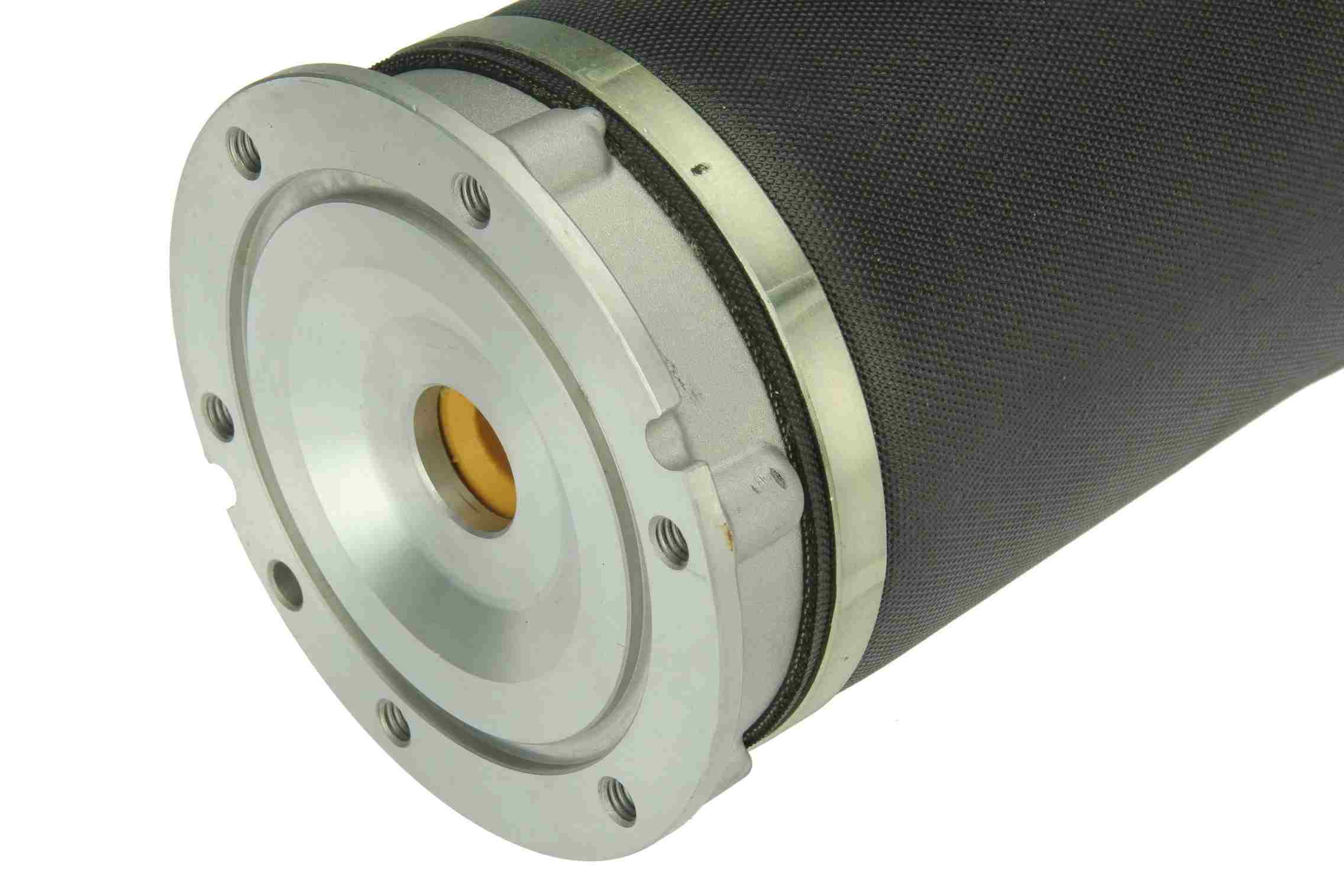 Autotecnica Suspension Strut Assembly AU099516