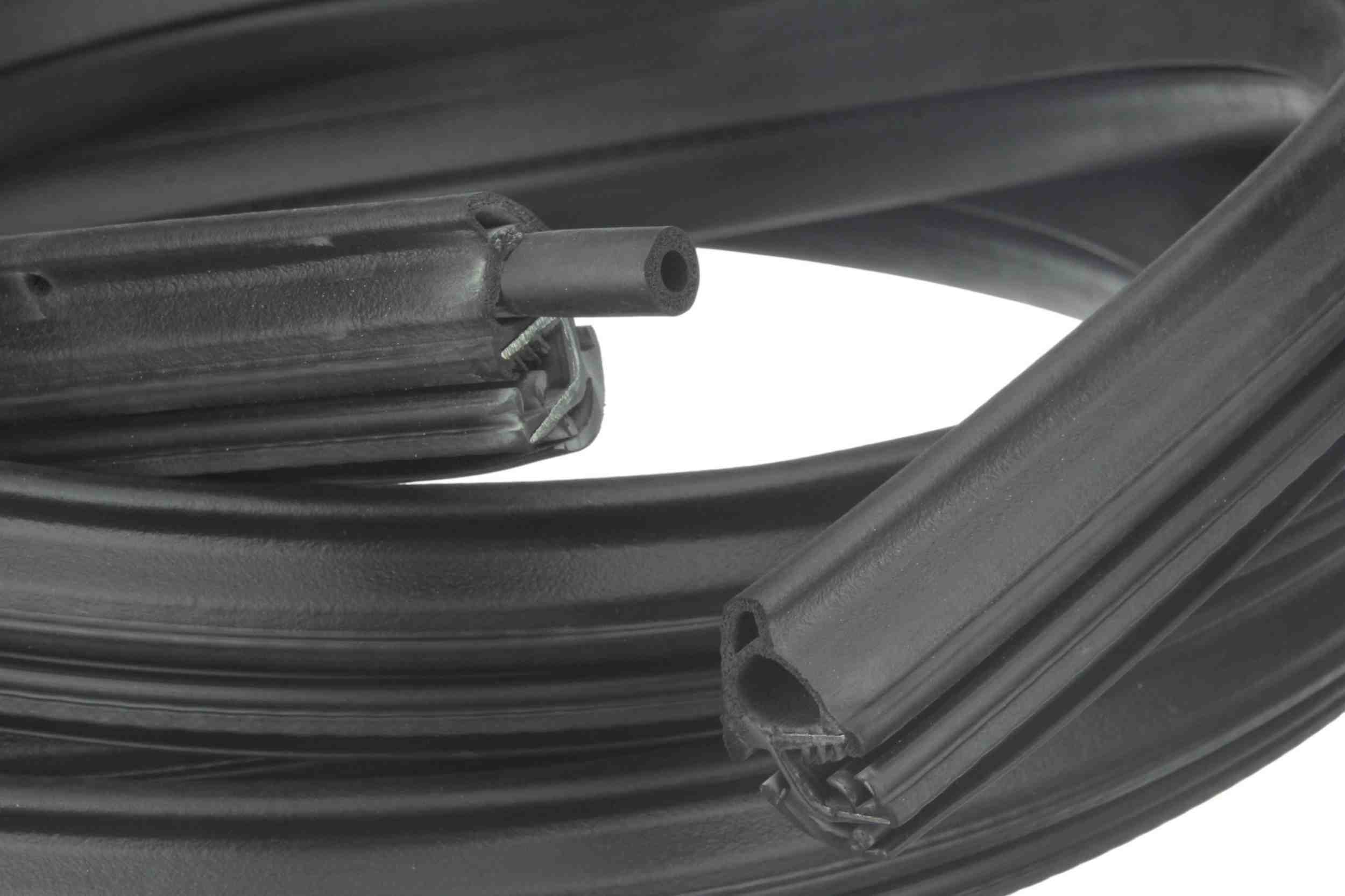 Autotecnica Door Seal GM0818589