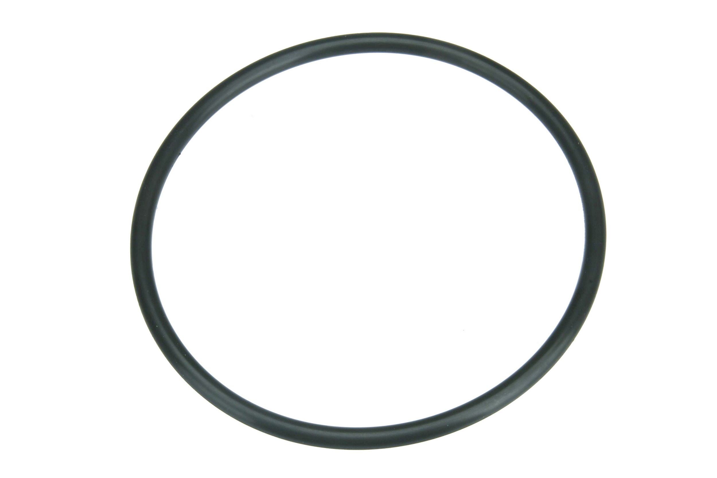 Autotecnica Fuel Pump Seal NI0515877