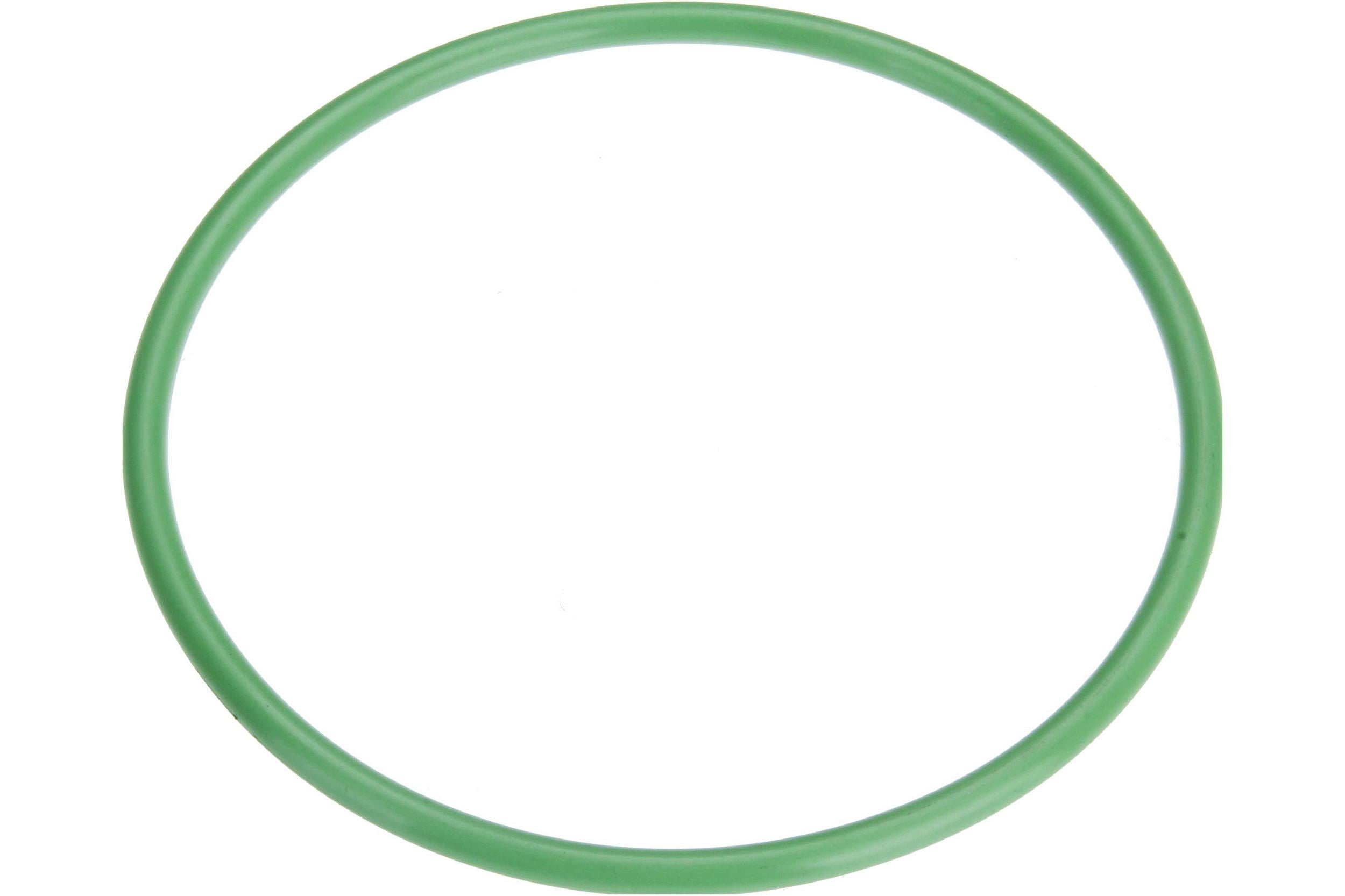 Autotecnica Fuel Pump Seal NI0515879