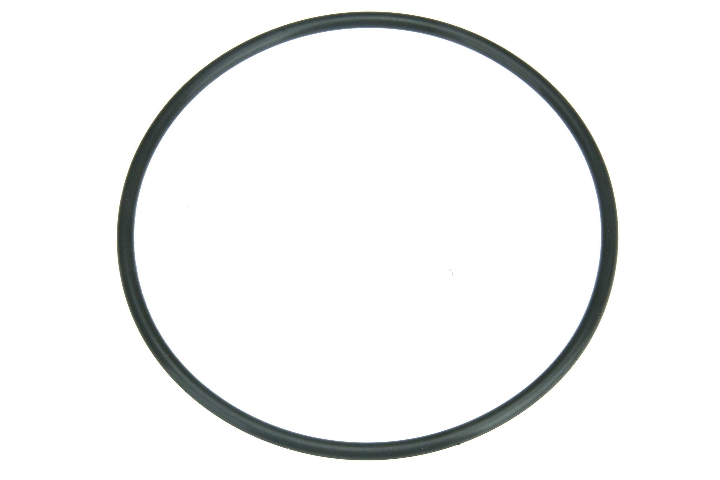 Autotecnica Fuel Pump Seal NI0515880