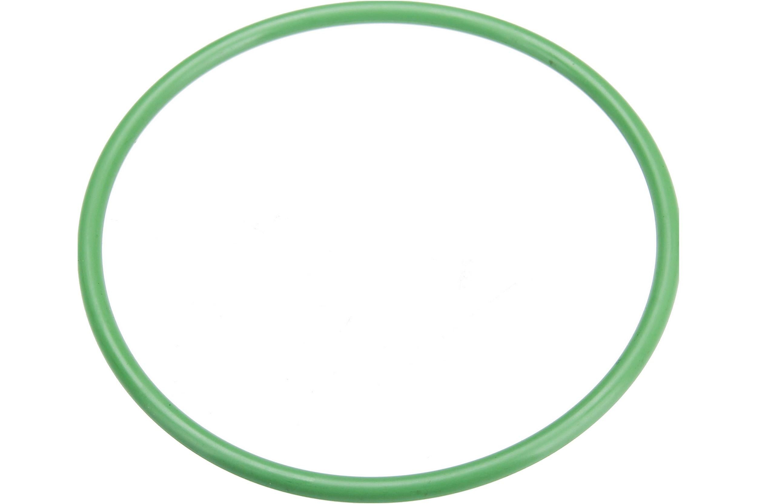 Autotecnica Fuel Pump Seal NI0515882