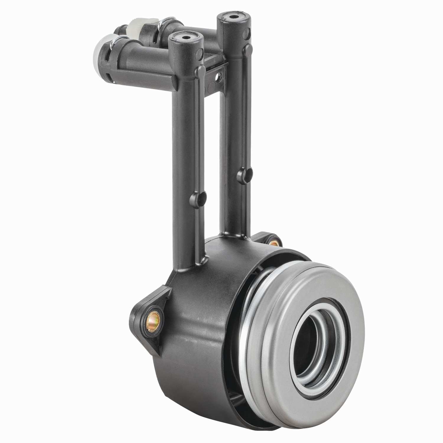 FTE FTE CSCB 1100028