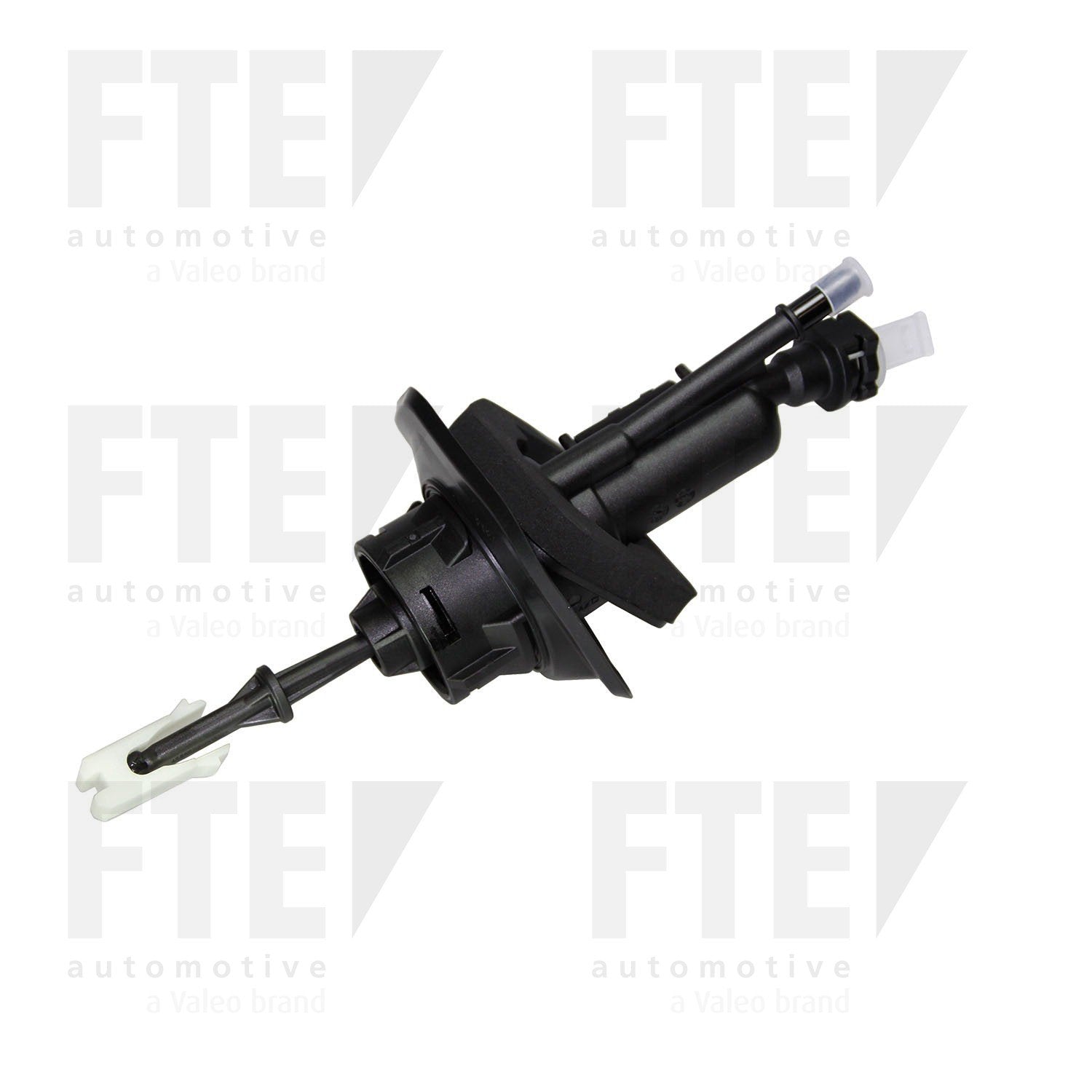 FTE FTE CMC 2108119