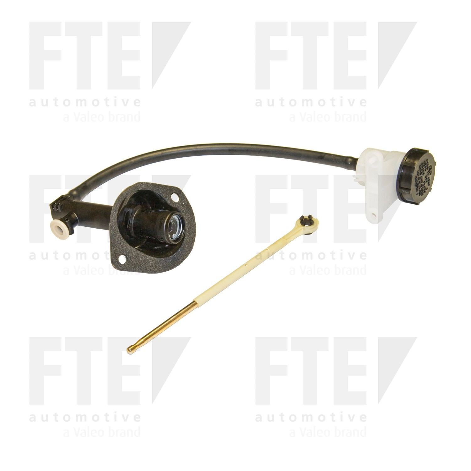 FTE FTE CMC 2116516