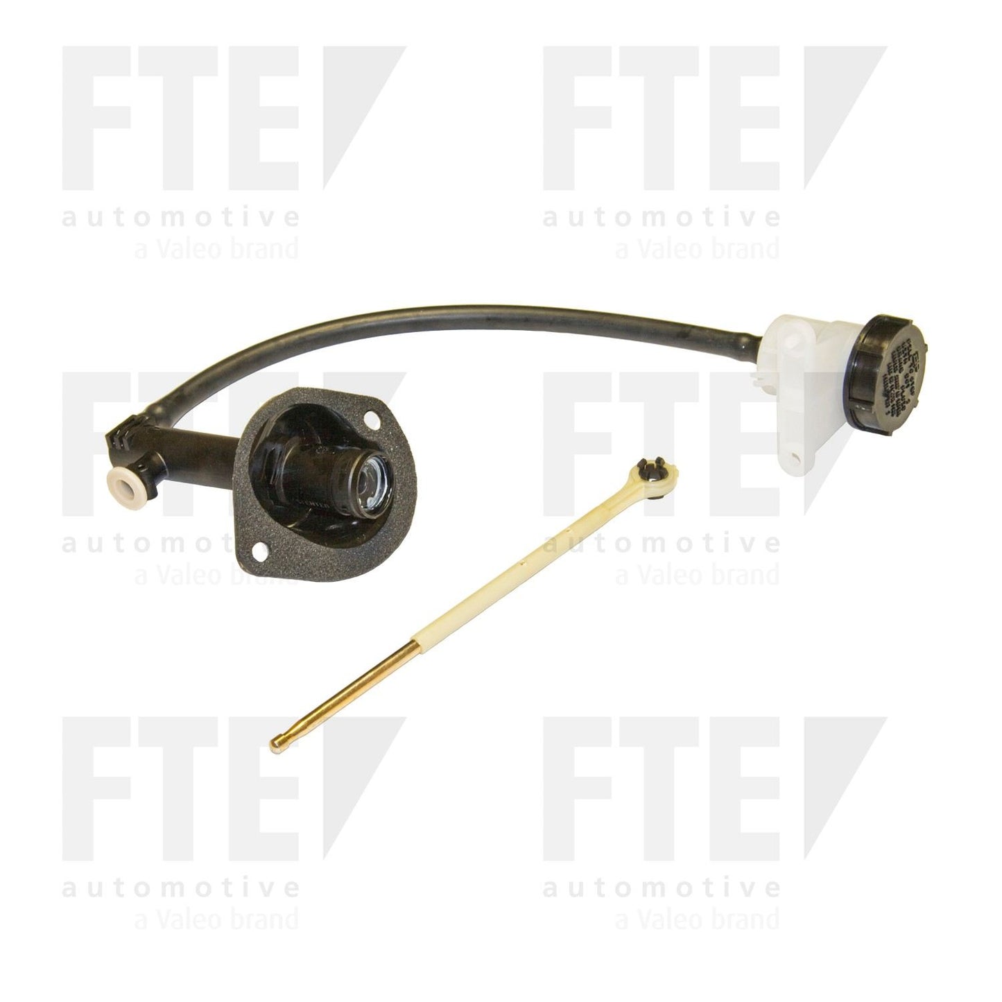 FTE FTE CMC 2116516