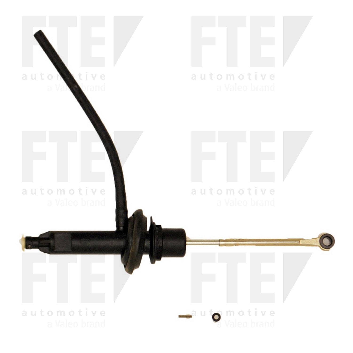 FTE FTE CMC 2124119