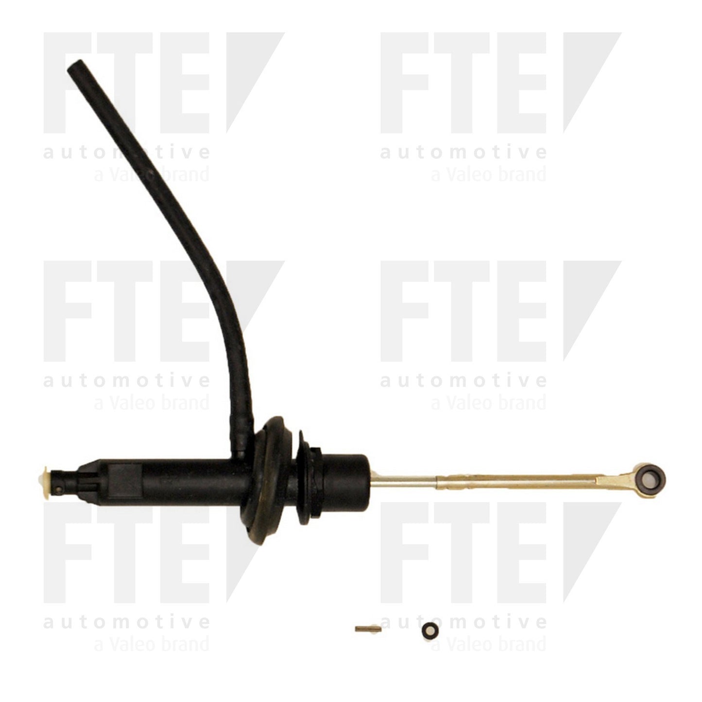 FTE FTE CMC 2124119