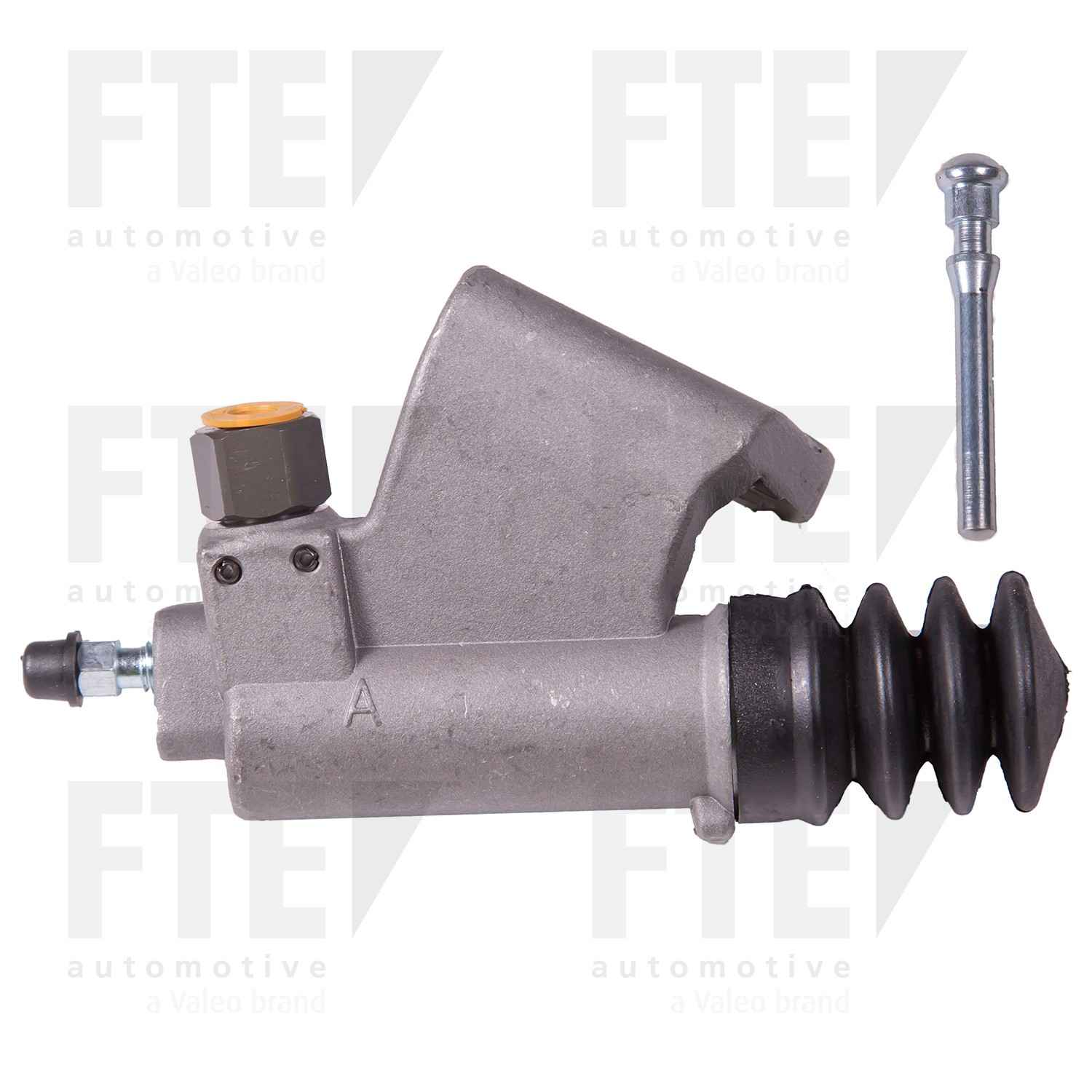 FTE FTE CSC 3104019