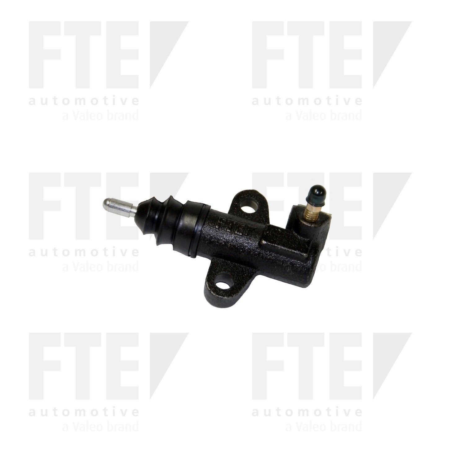FTE FTE CSC 3105819