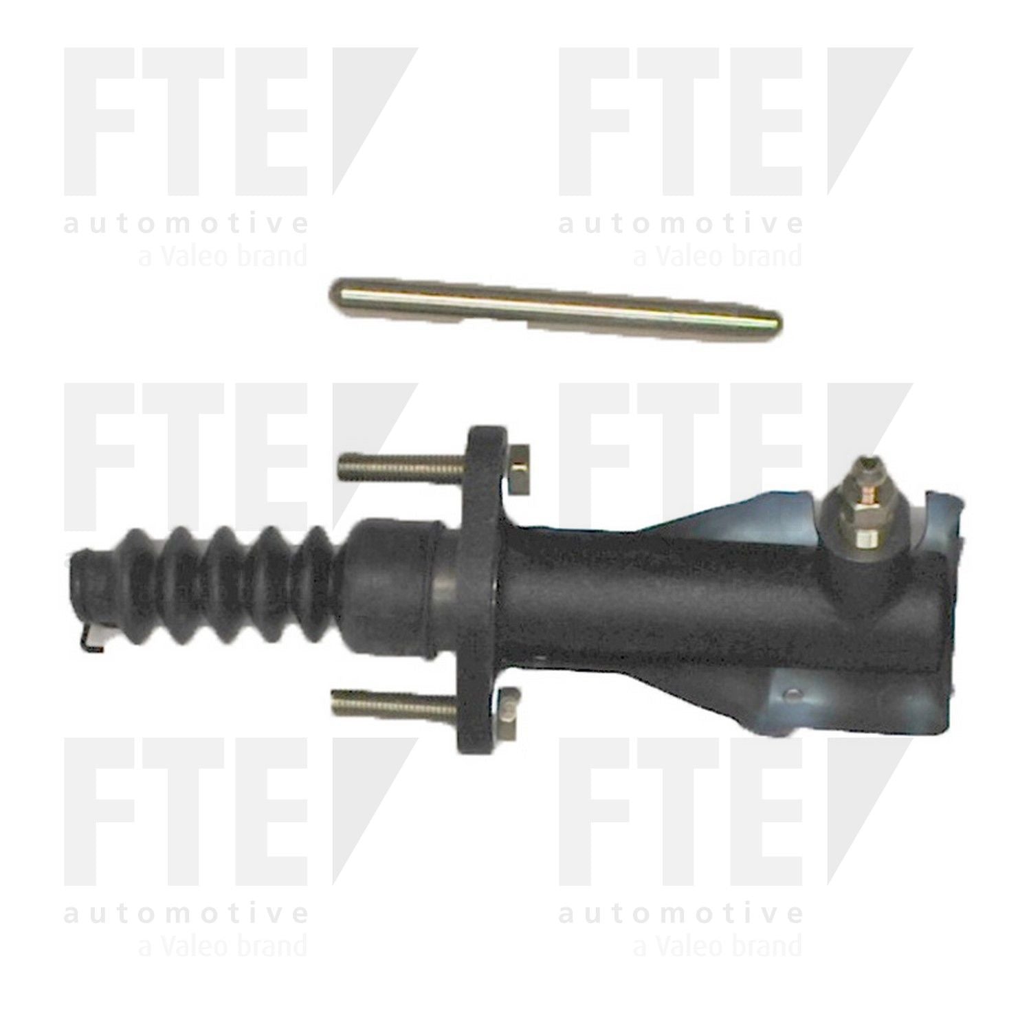 FTE FTE CSC 3106621
