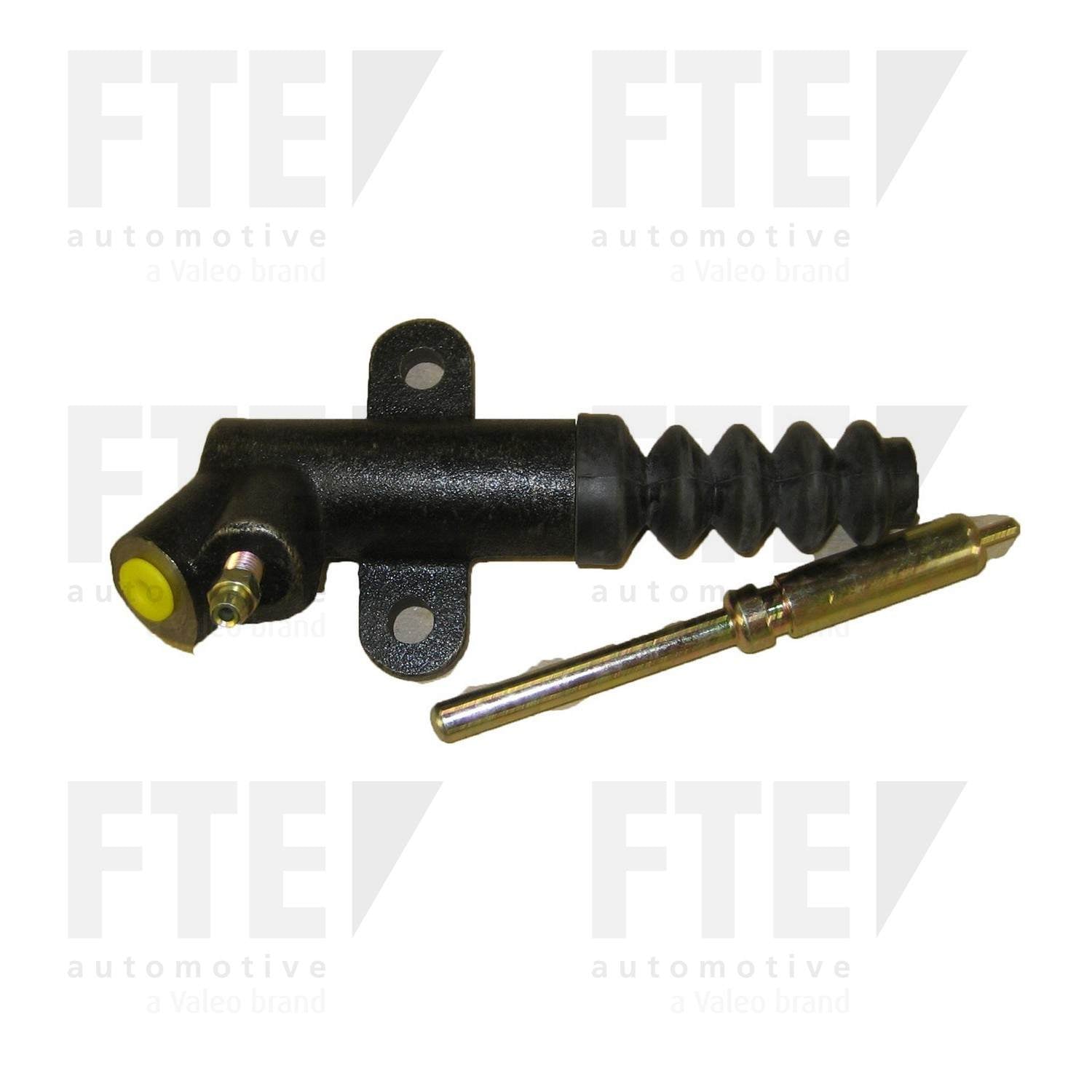 FTE FTE CSC 3109219
