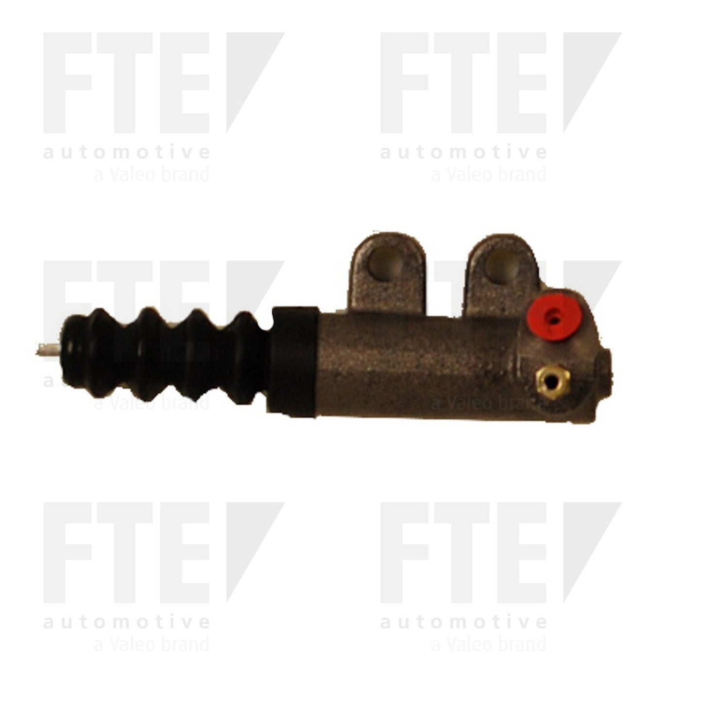 FTE FTE CSC 3110919