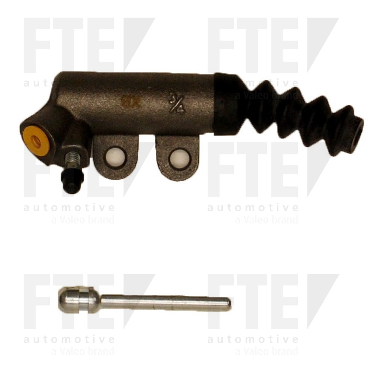 FTE FTE CSC 3111619