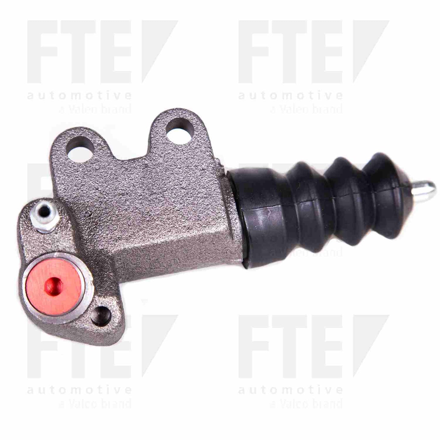 FTE FTE CSC 3111919