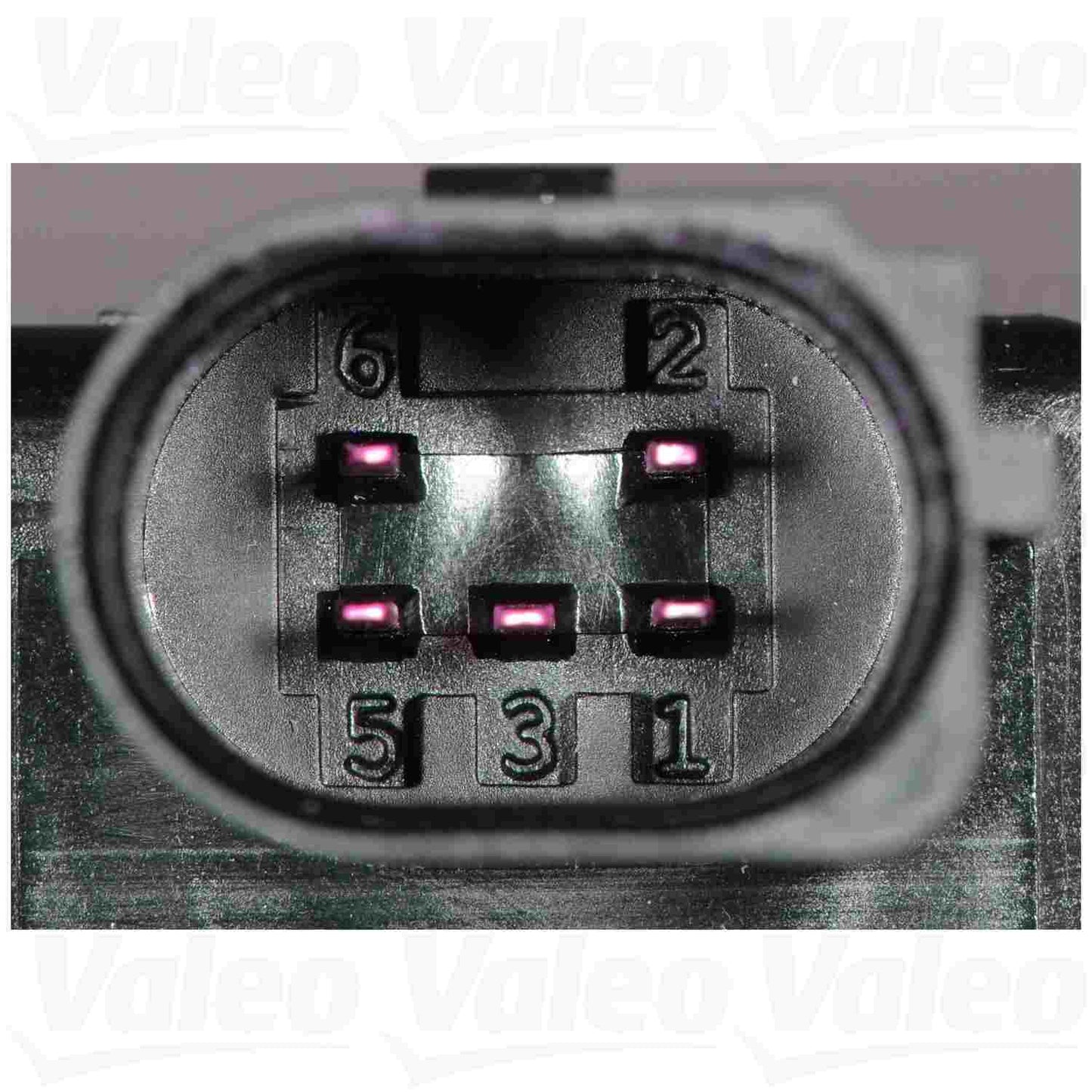 Valeo EGR Valve 700424