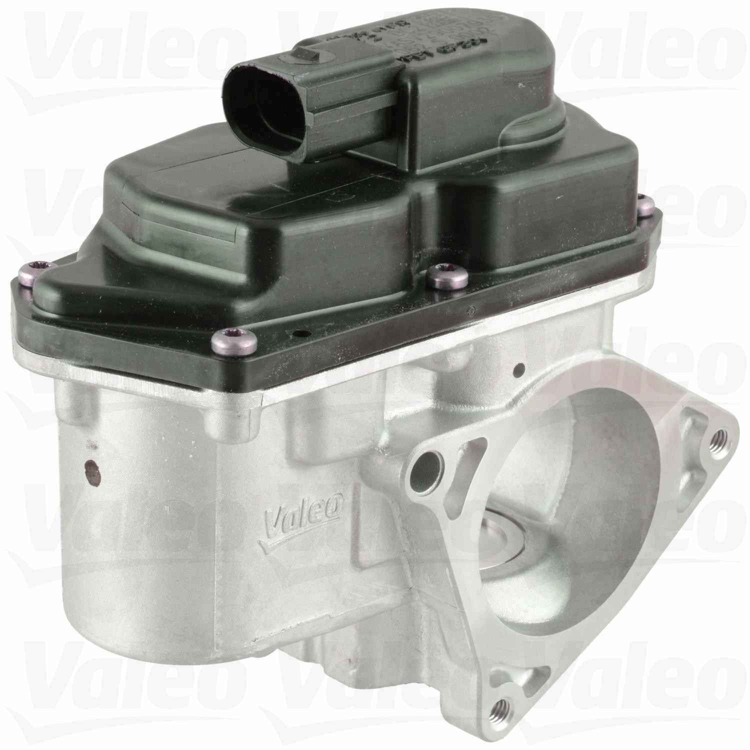 Valeo EGR Valve 700424