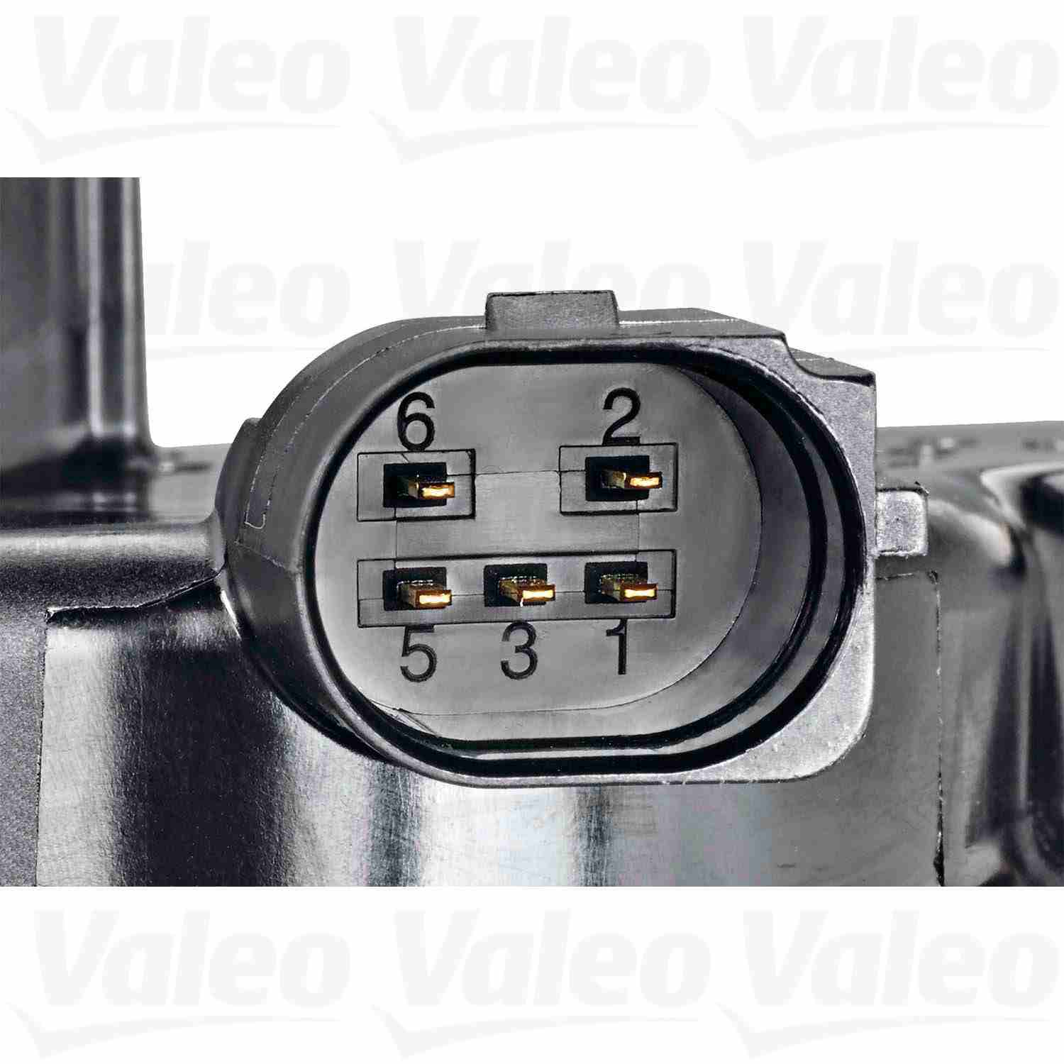 Valeo EGR Valve 700448