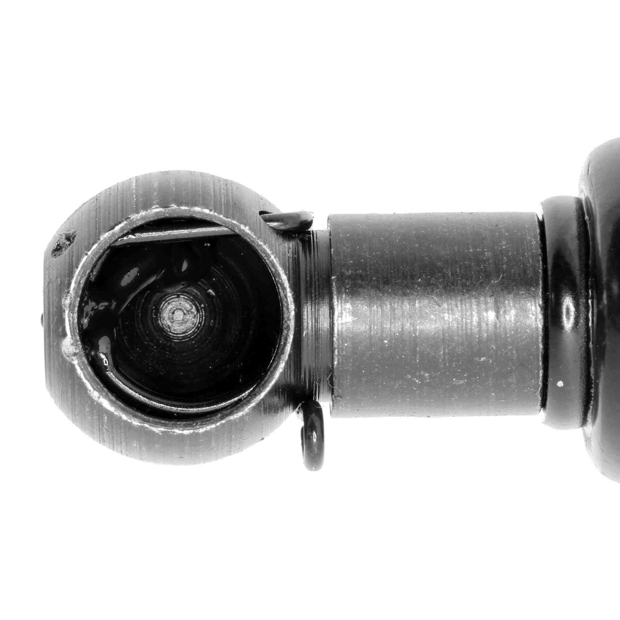 Vaico Hatch Lift Support