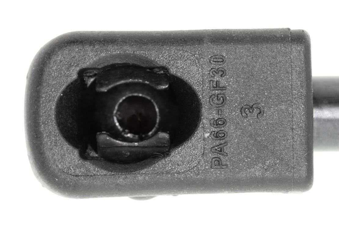 Vaico Hatch Lift Support