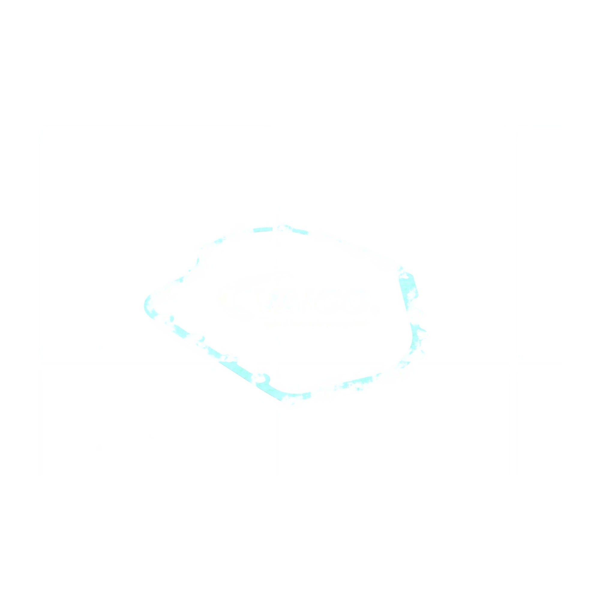 VAICO Automatic Transmission Case Gasket V10-2537