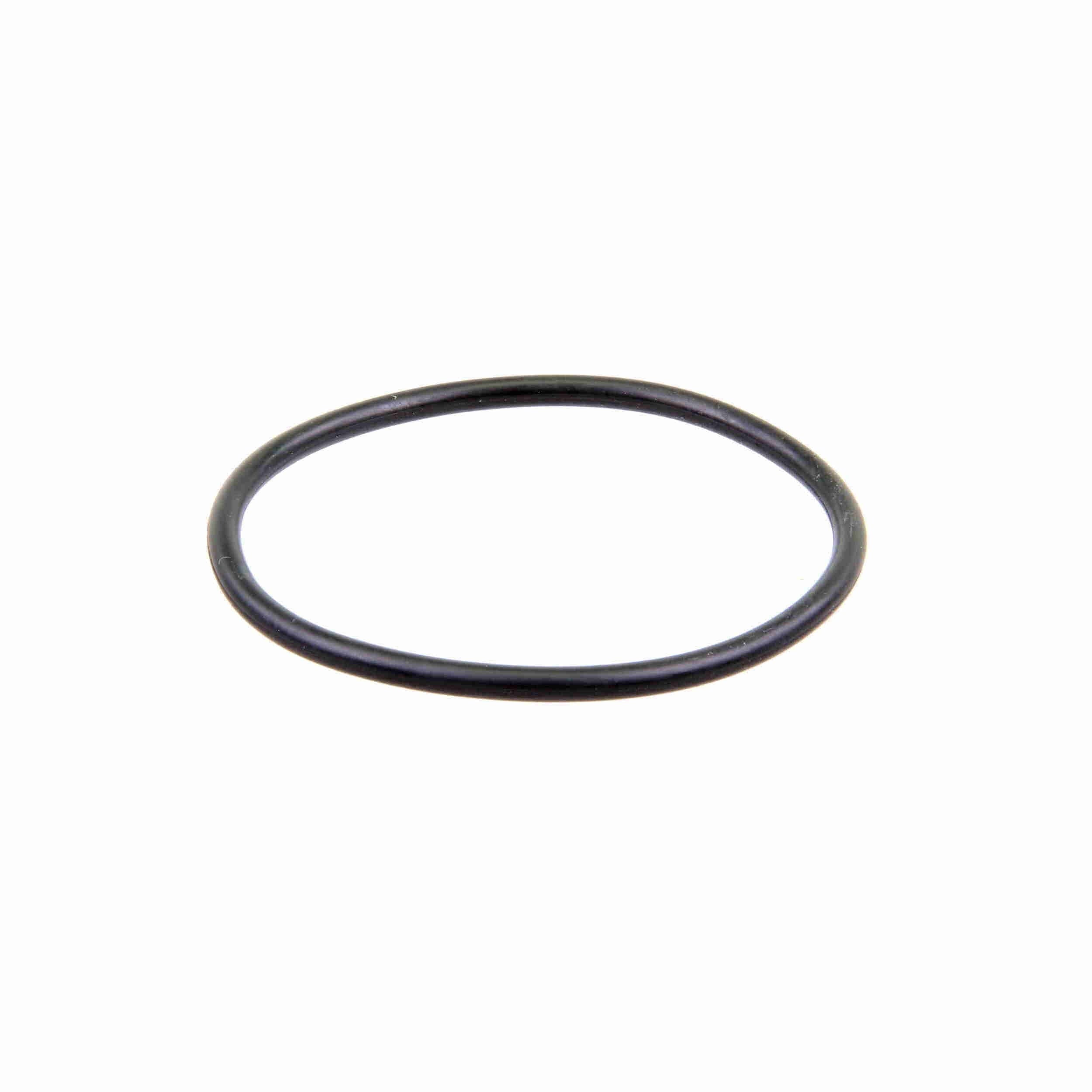 VAICO Engine Water Pump V10-50011