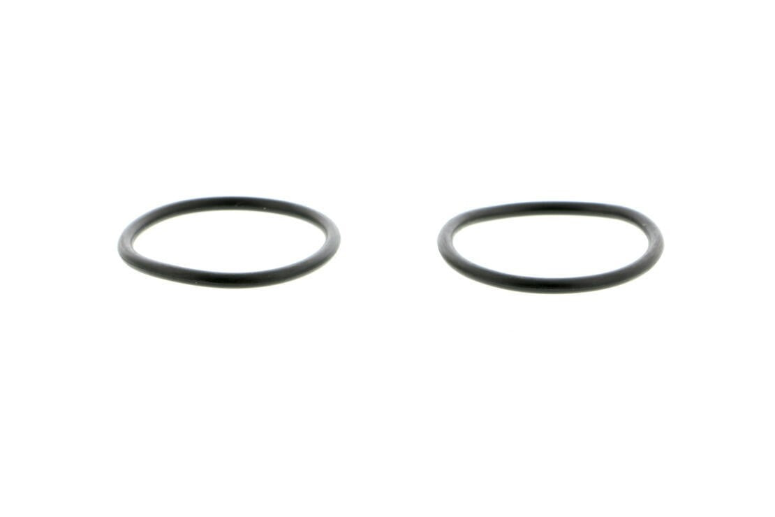 VAICO Engine Water Pump V10-50013