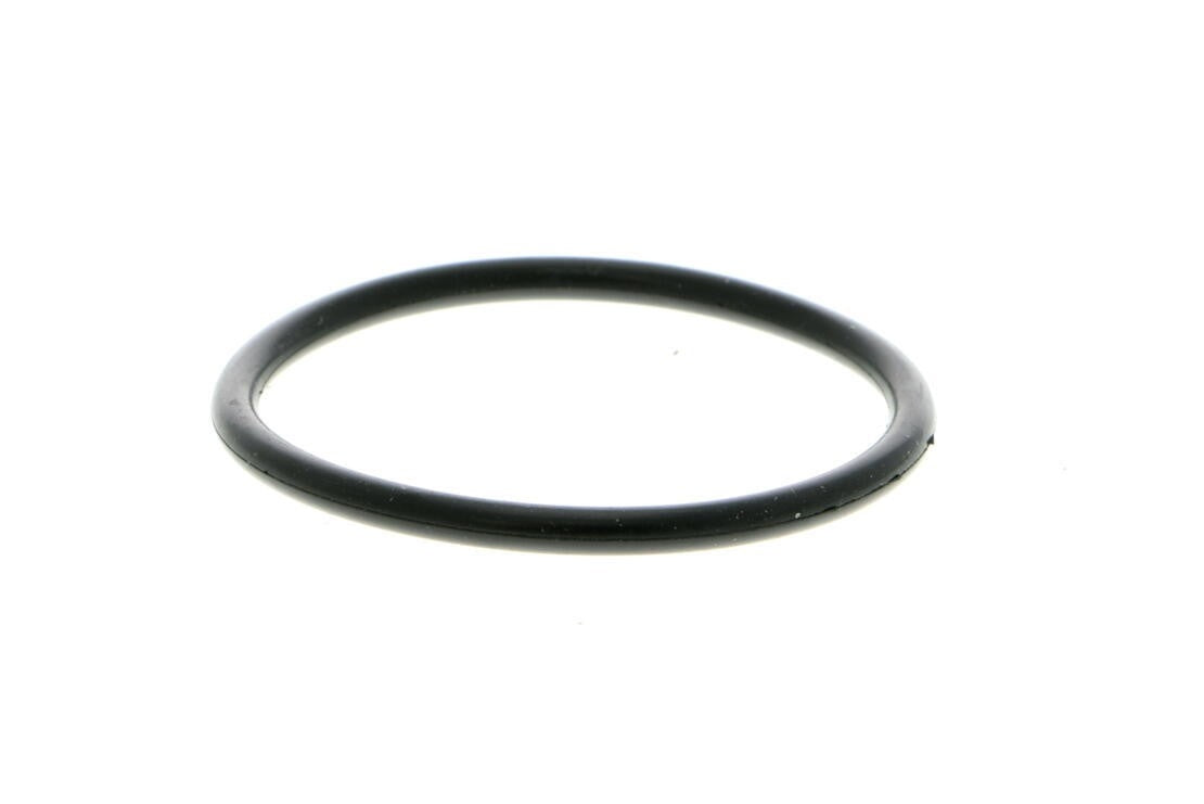 VAICO Engine Water Pump V10-50014