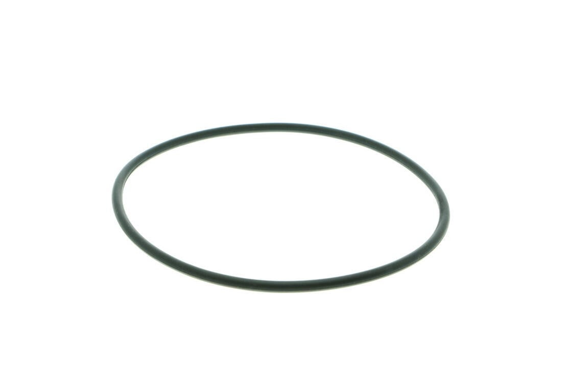 VAICO Engine Water Pump V10-50031