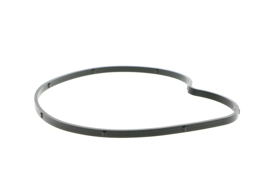 VAICO Engine Water Pump V10-50066