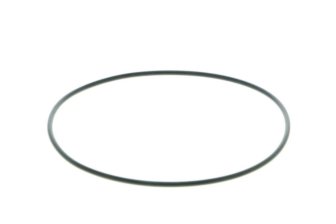 VAICO Engine Water Pump V10-50079