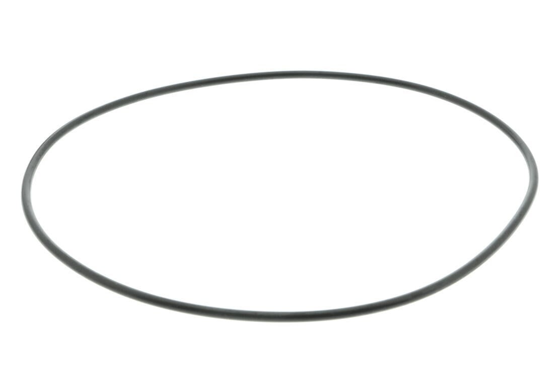 VAICO Engine Water Pump V10-50096