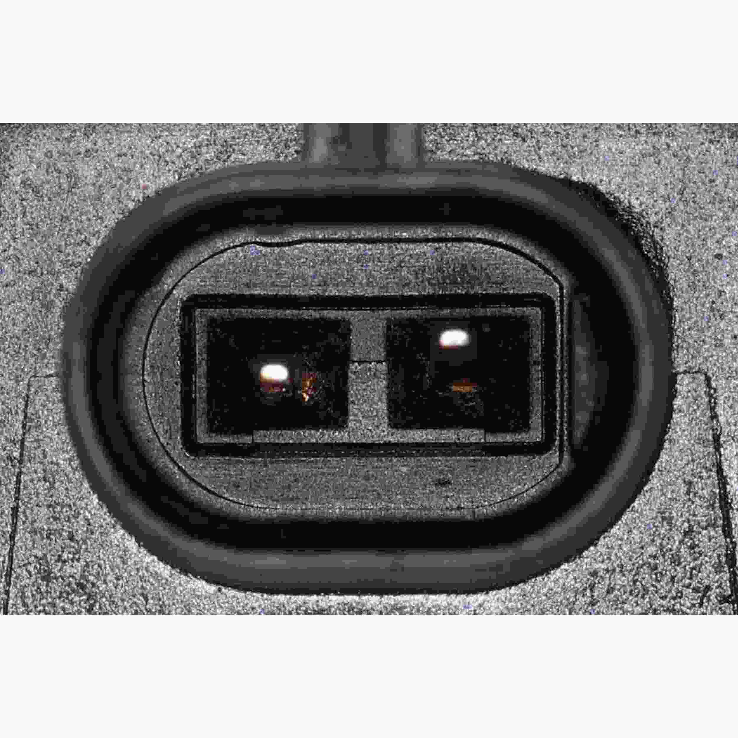 VAICO Engine Variable Valve Timing (VVT) Adjuster Magnet V20-3797