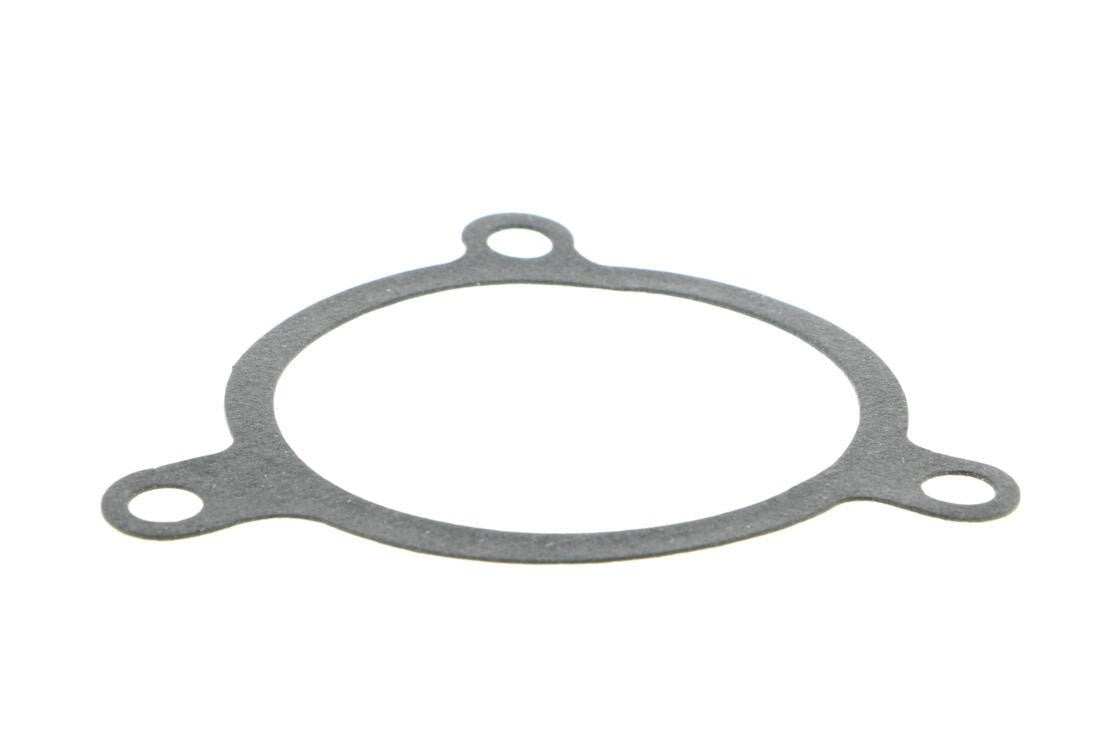 VAICO Engine Water Pump V20-50011