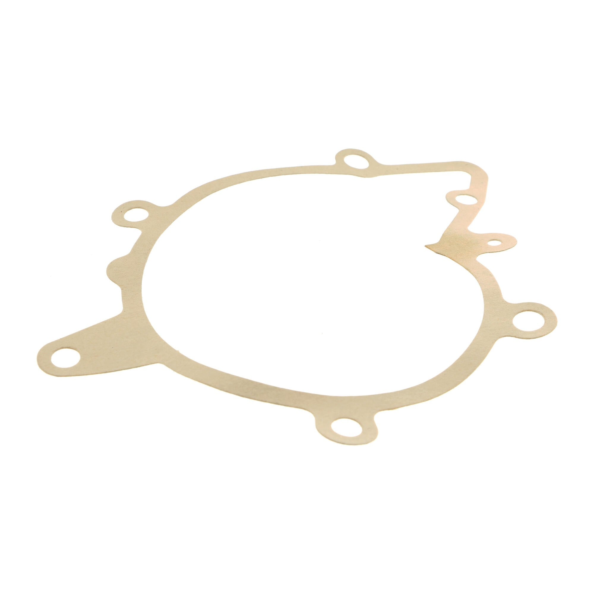 VAICO Engine Water Pump V20-50025-1