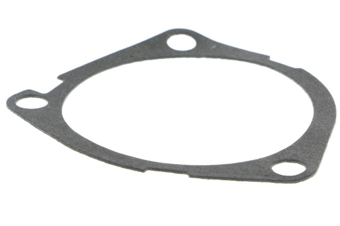 VAICO Engine Water Pump V24-50019