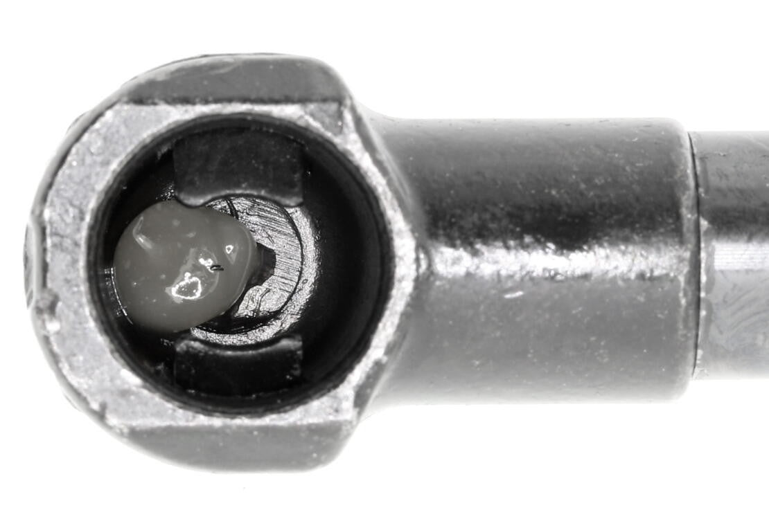 Vaico Hood Lift Support