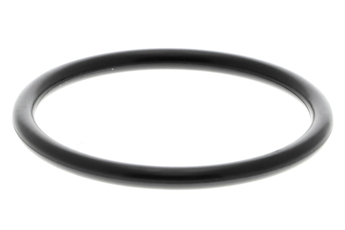 VAICO Engine Crankcase Vent Valve V30-2402