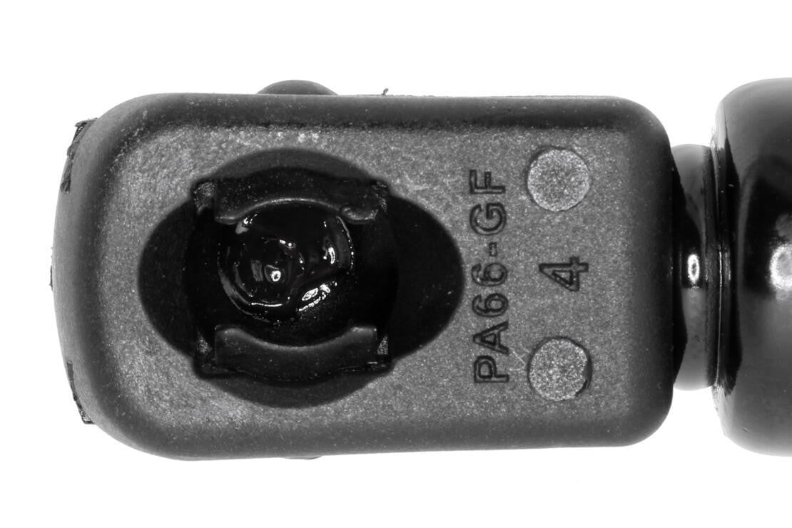 VAICO Tailgate Lift Support V30-2837