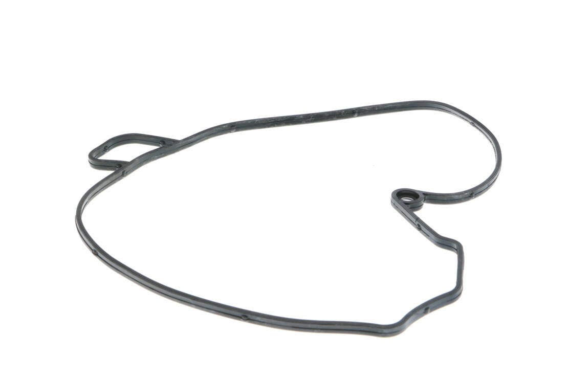 VAICO Engine Water Pump V30-50071