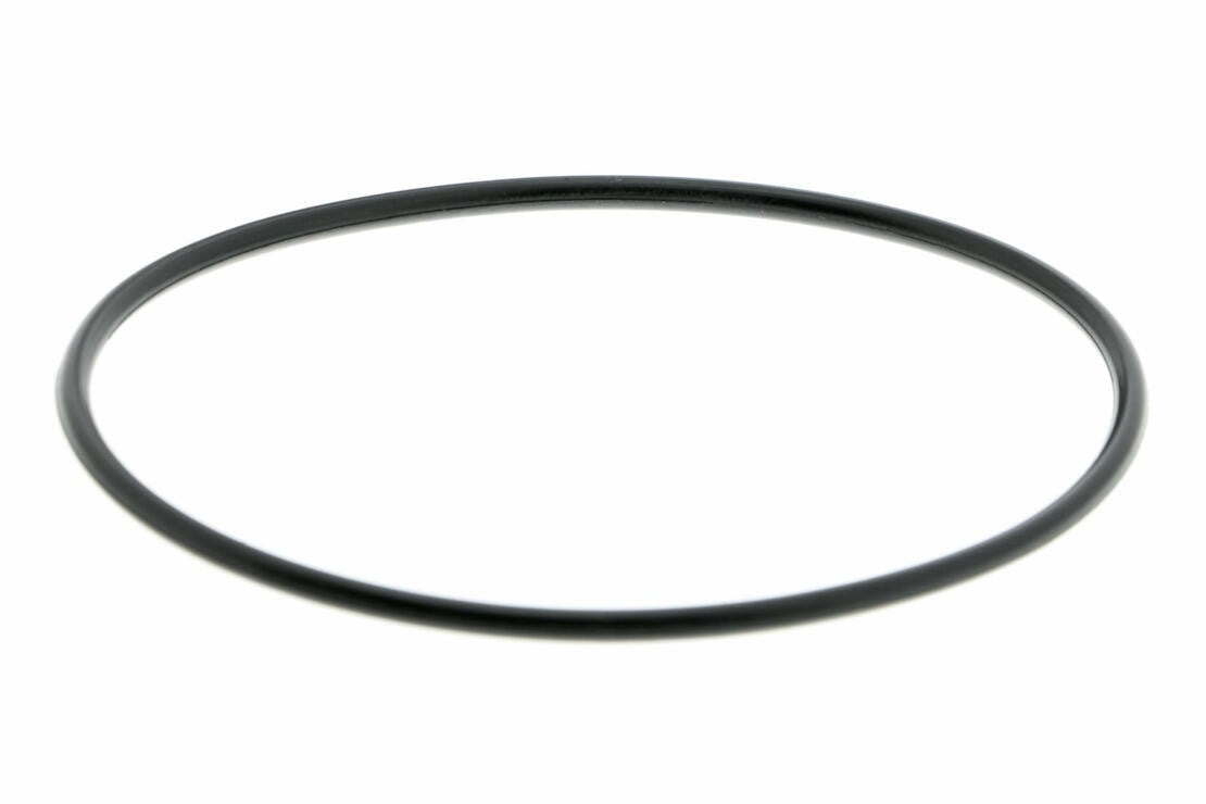 VAICO Engine Water Pump V45-50017