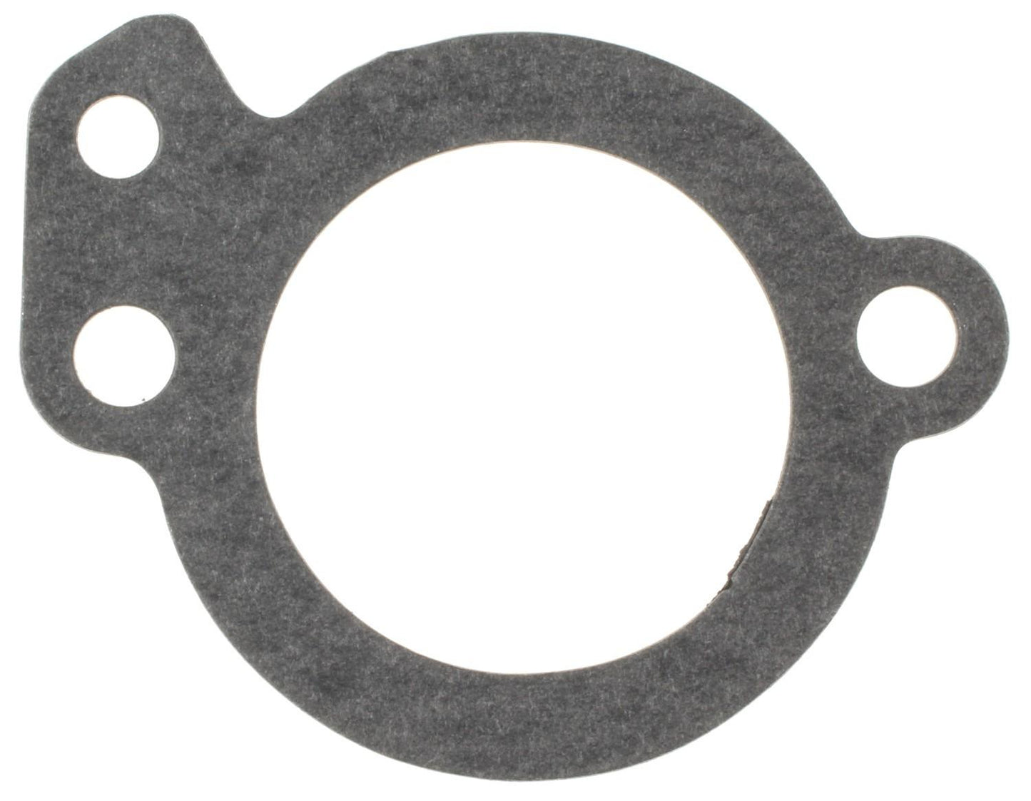 Mahle C31391