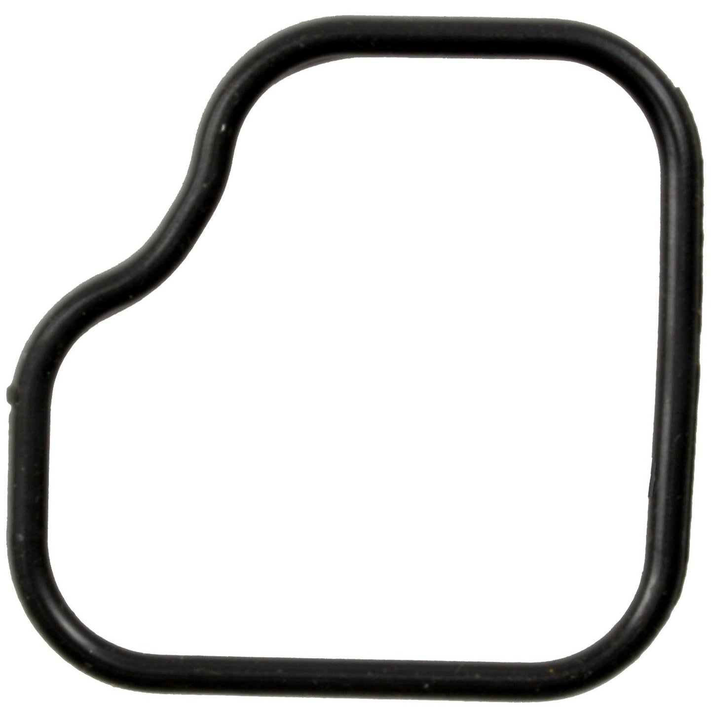Mahle C31756